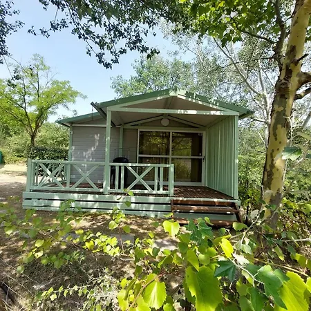 Avec Terrasse - Api-1-52-1064 *